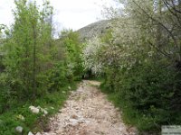 2026-05-09 Le cime di Casamaina 205